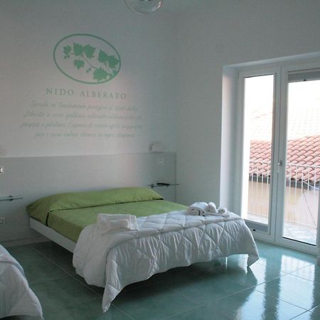 Praja Vecchia Bed & Breakfast Praia a Mare Exterior foto